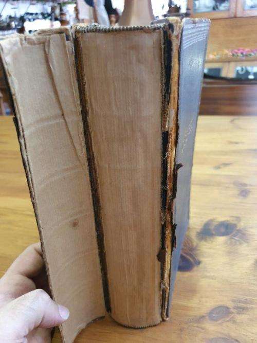 1953 Familie Bybel Labuschagne and Spies Family.