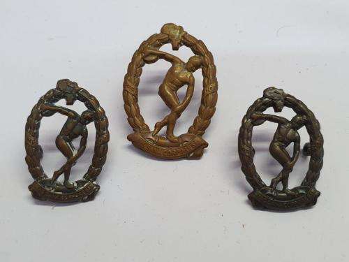 South African Physical Training Brigade Cap and collar badges.