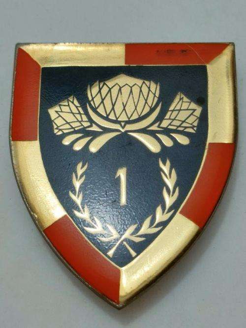 1 SSB Shoulder Flash. Pins intact.