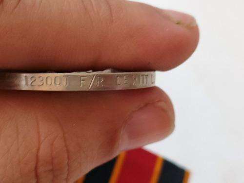 Rhodesain RGSM and BSAP Faithfull Service medal awarded to 12300 T F/R De Witt L