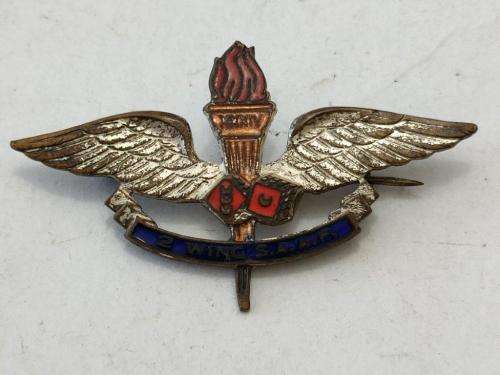 South African Airforce WWII 2 Wing Squadron badge.
