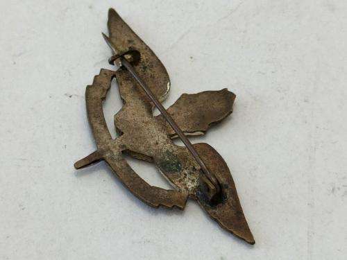 South African Airforce WWII 2 Wing Squadron badge.