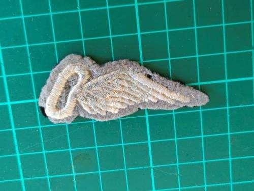 Unknown Observer half wing/brevet