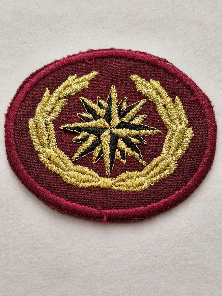 Recce/Special Forces Compass Rose Beret badge. Selling as a copy.