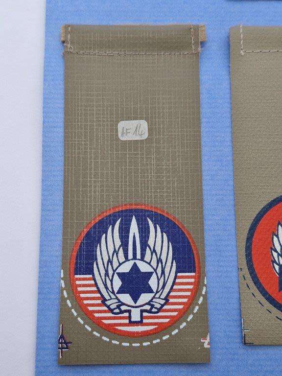 Israeli Defense Force Ramat David air force base - Wing- 1 shoulder flash.