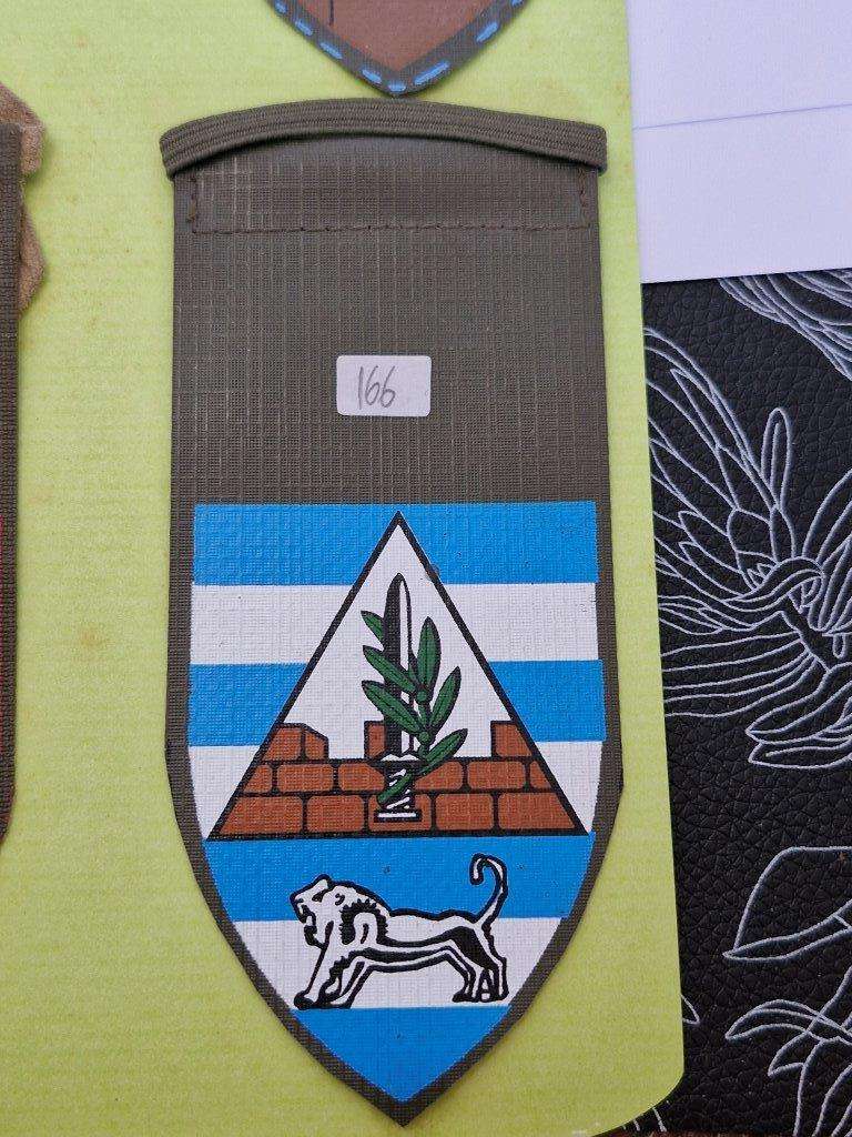 Israeli Defense Force Judea and Samaria Division shoulder flash.