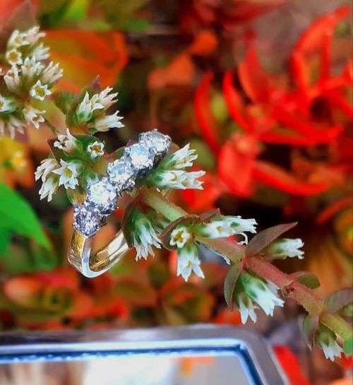 18crt Yellow gold with 5 Stunning Diamonds in White Gold Claw Setting