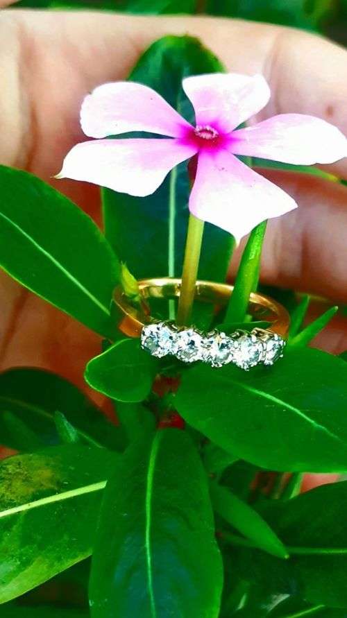 18crt Yellow gold with 5 Stunning Diamonds in White Gold Claw Setting