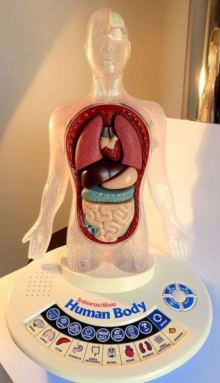 STUNNING DISPLAY. INTERACTIVE MODEL.FLASHING AREAS. BOOK INCL.