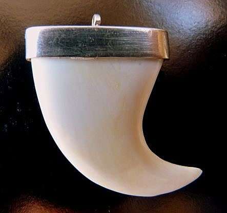 CARVED PENDANT IN STERLING SILVER. SHAPE OF A LIONS CLAW. IMPRESSIVE  PIECE