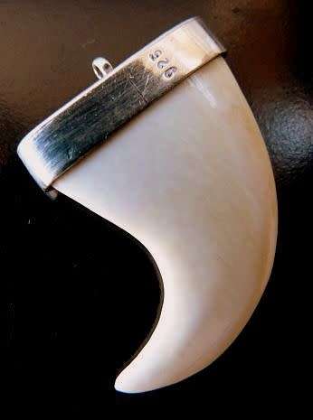 CARVED PENDANT IN STERLING SILVER. SHAPE OF A LIONS CLAW. IMPRESSIVE  PIECE