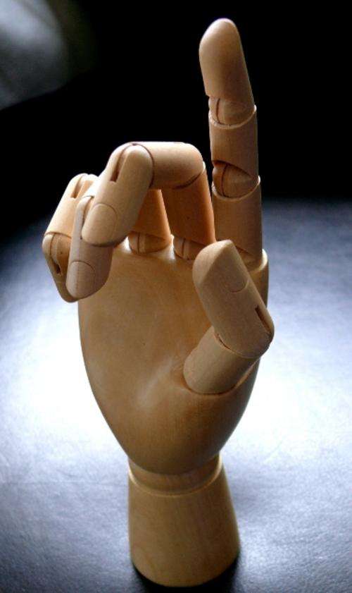 WOODEN ARTIST HAND,Pls check pics..