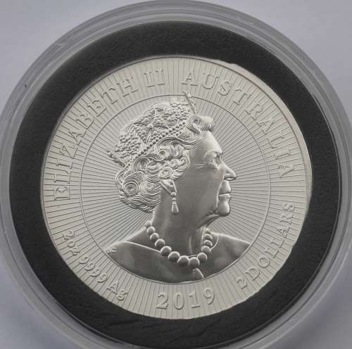 2019 Australian 2oz Fine Silver Crocodile in Capsule