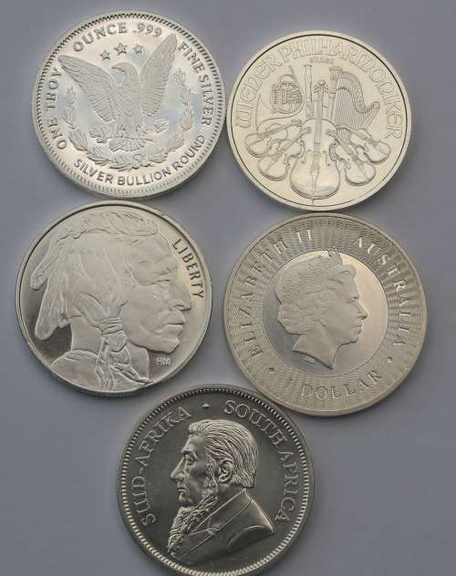 Collection of 5 Silver Rounds 1oz **Please Read Description** Bid per Coin to take All