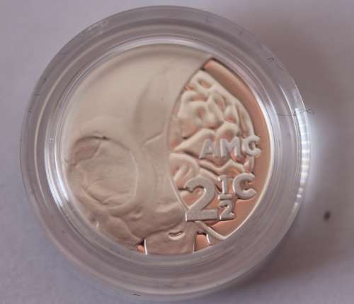 2018 Flypress TIckey (Computed Tomography) 2 Available **Bid per Coin** in SA Mint Pouch with COA