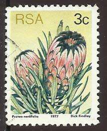 1977 SOUTH AFRICA FLORA, PROTEA PLANTS