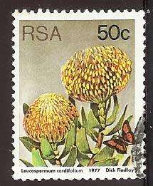 1977 SOUTH AFRICA FLORA, PROTEA PLANTS