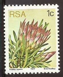 1977 SOUTH AFRICA FLORA, PROTEA PLANTS