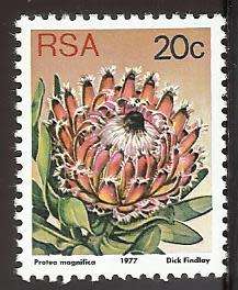 1977 SOUTH AFRICA FLORA, PROTEA PLANTS