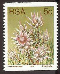 1977 SOUTH AFRICA FLORA, PROTEA PLANTS