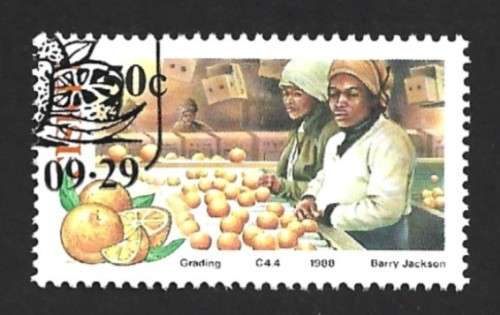 1988 CISKEI CITRUS FARMING