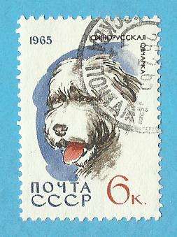 1965 RUSSIA DOG