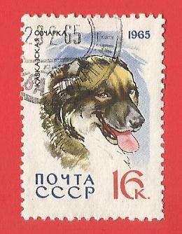 1965 RUSSIA DOG