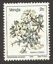 1979 VENDA FLOWER