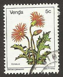 1979 VENDA FLOWER