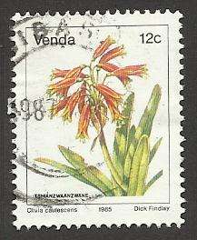1979 VENDA FLOWER