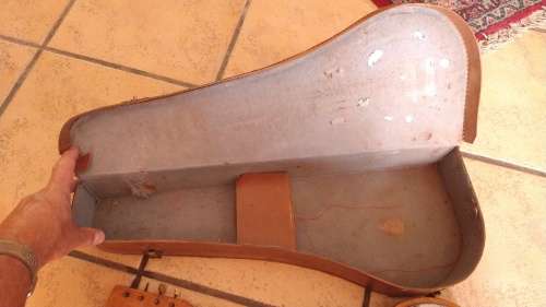 Vintage Banjo with Carry Case