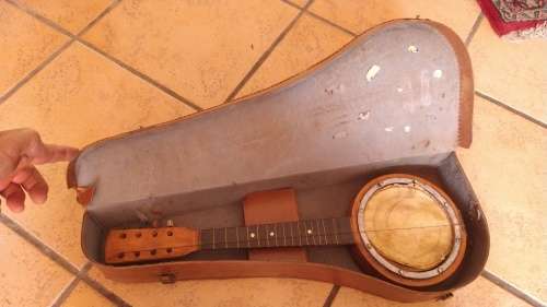 Vintage Banjo with Carry Case
