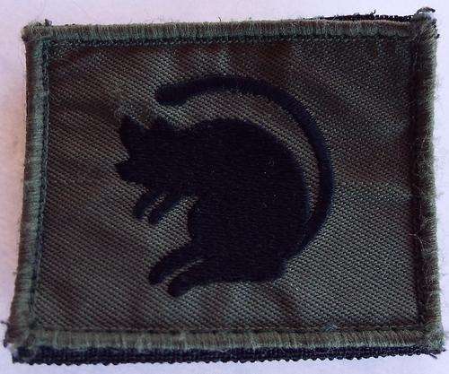 ISAF Badge