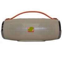 Portable Wireless Bluetooth Speaker Series 1 + 1