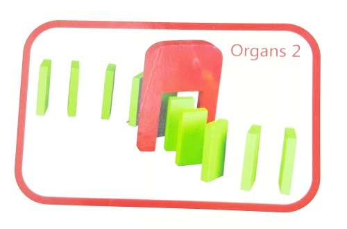 10 colored dominoes Kids toys Educational toys Authentic Standard Wooden Toy