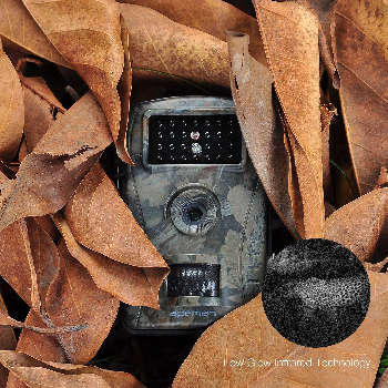 Trail Camera - Wild Life Trail Camera