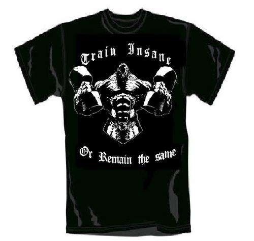 TRAIN INSANE OR REMAIN THE SAME