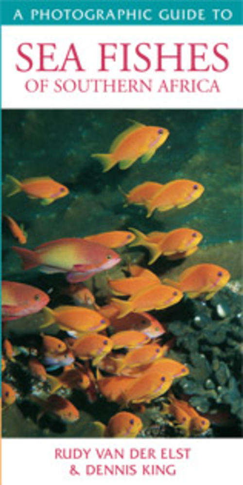 A Photographic Guide to Sea Fishes of Southern Africa