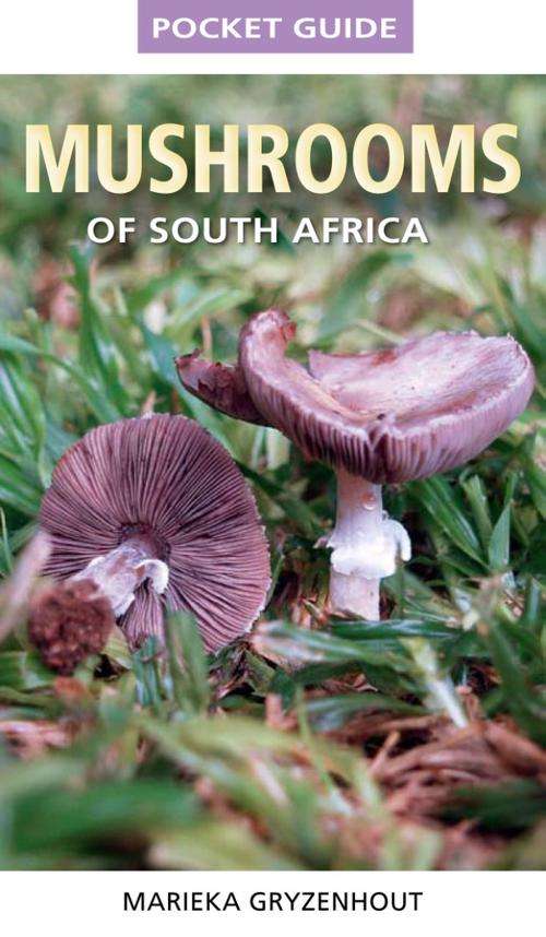 Pocket Guide to Mushrooms of South Africa