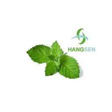 10ml E-Liquid "MENTHOL" 11mg nicotine (Genuine Hangsen) *No additional item fee*