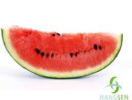 10ml E-Liquid "WATERMELON" 11mg nicotine (Genuine Hangsen) *No additional item fee*
