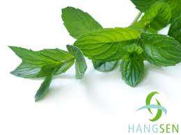 10ml E-Liquid "DELUXE MENTHOL" 11mg nicotine (Genuine Hangsen) *No additional item fee*