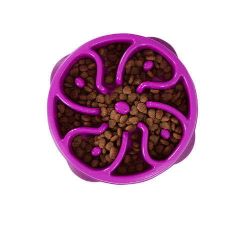 Slo Bowl Dog Pet Cat Slow Feeder Prevents Bloat Canine Obesity Lengthens Mealtime