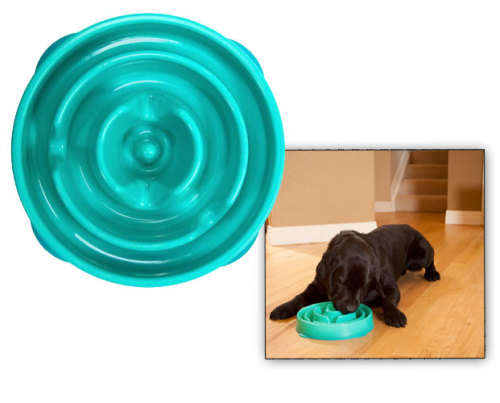 Slo Bowl Dog Pet Cat Slow Feeder Prevents Bloat Canine Obesity Lengthens Mealtime