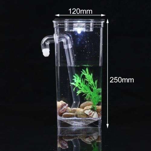 New Self Cleaning Fish Tank Aquarium Setup. A great gift for first-time pet owners!