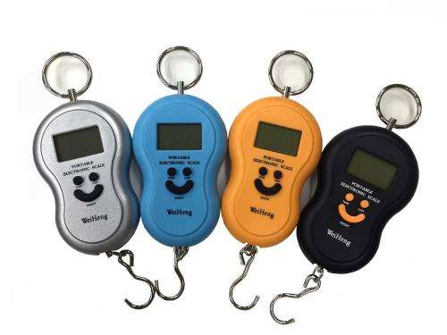 Portable Electronic Scale 40kg for Fishing, Post Room, Travel Luggage Kitchen etc