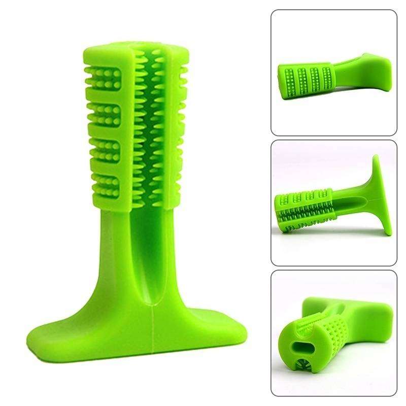 DIY World's Most Effective Pet Toothbrush