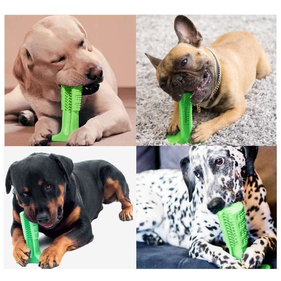 DIY World's Most Effective Pet Toothbrush