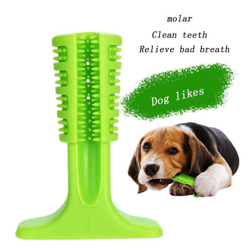 DIY World's Most Effective Pet Toothbrush
