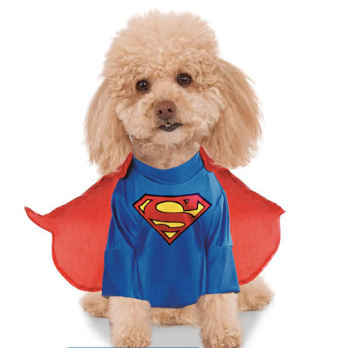 DC Comics Superman Shirt and Cape Pet Costume - L